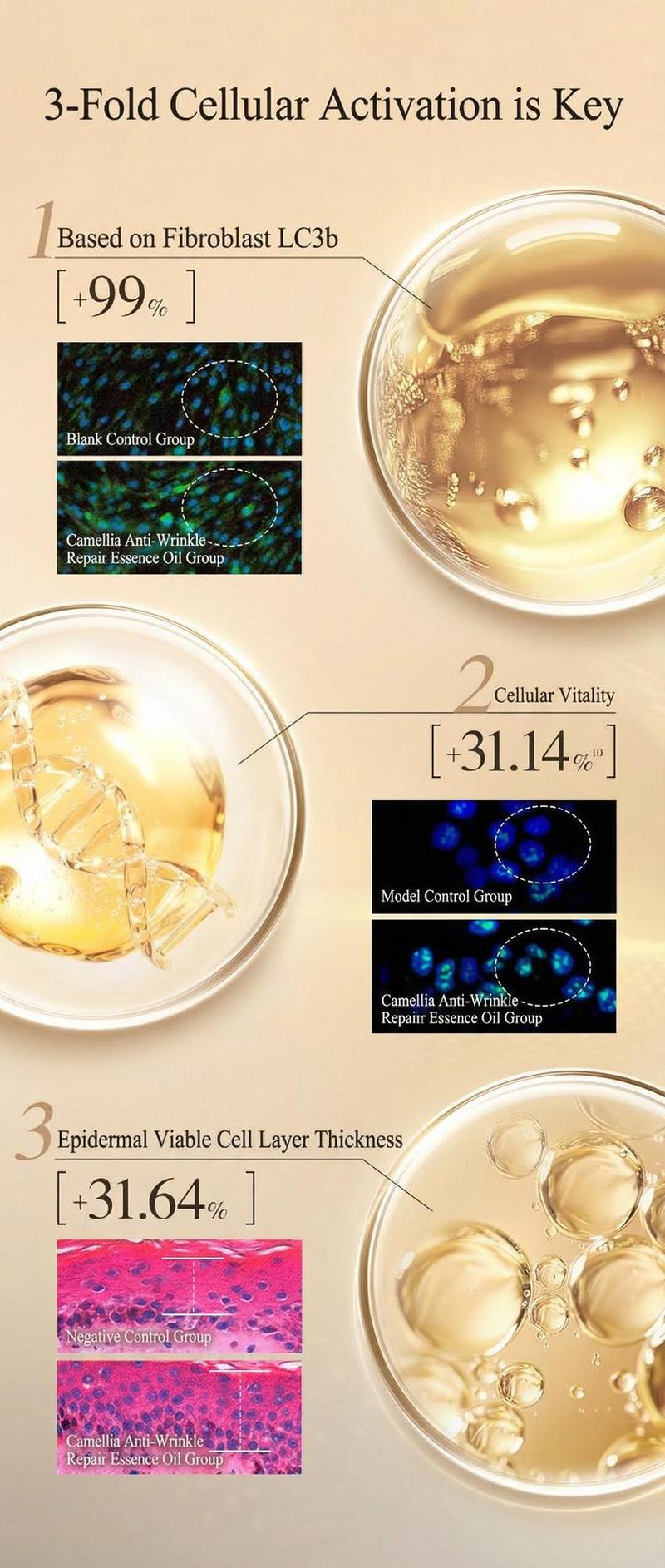 Product detail 7