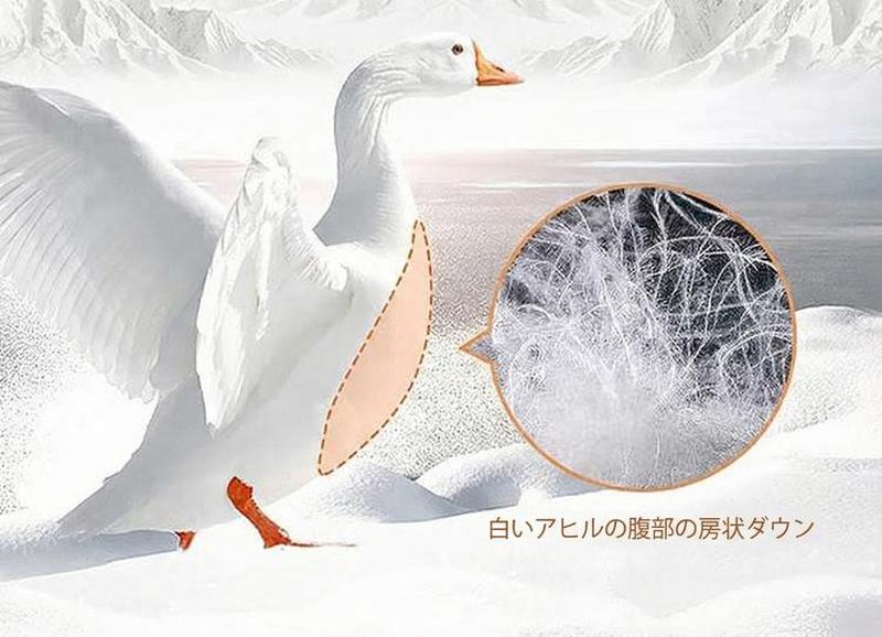 Product detail 10