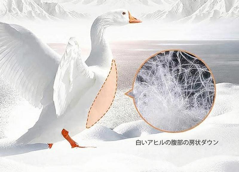 Product detail 10